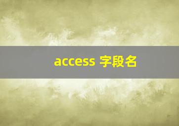 access 字段名